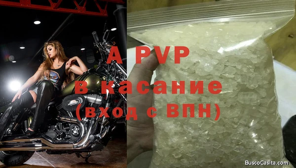 прущие грибы Слюдянка