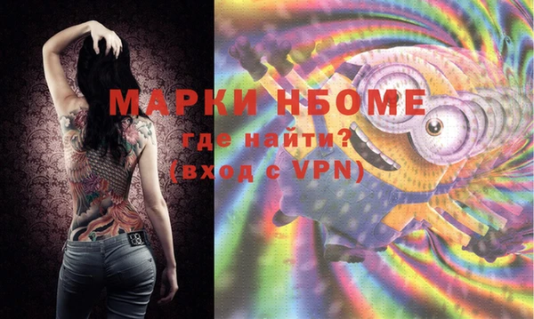шишки Бронницы