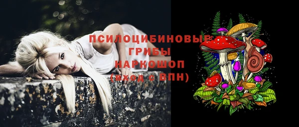 тгк Богданович