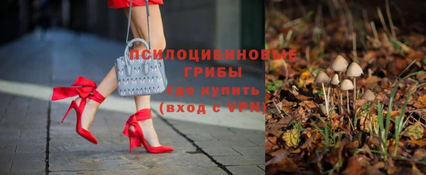 тгк Богданович